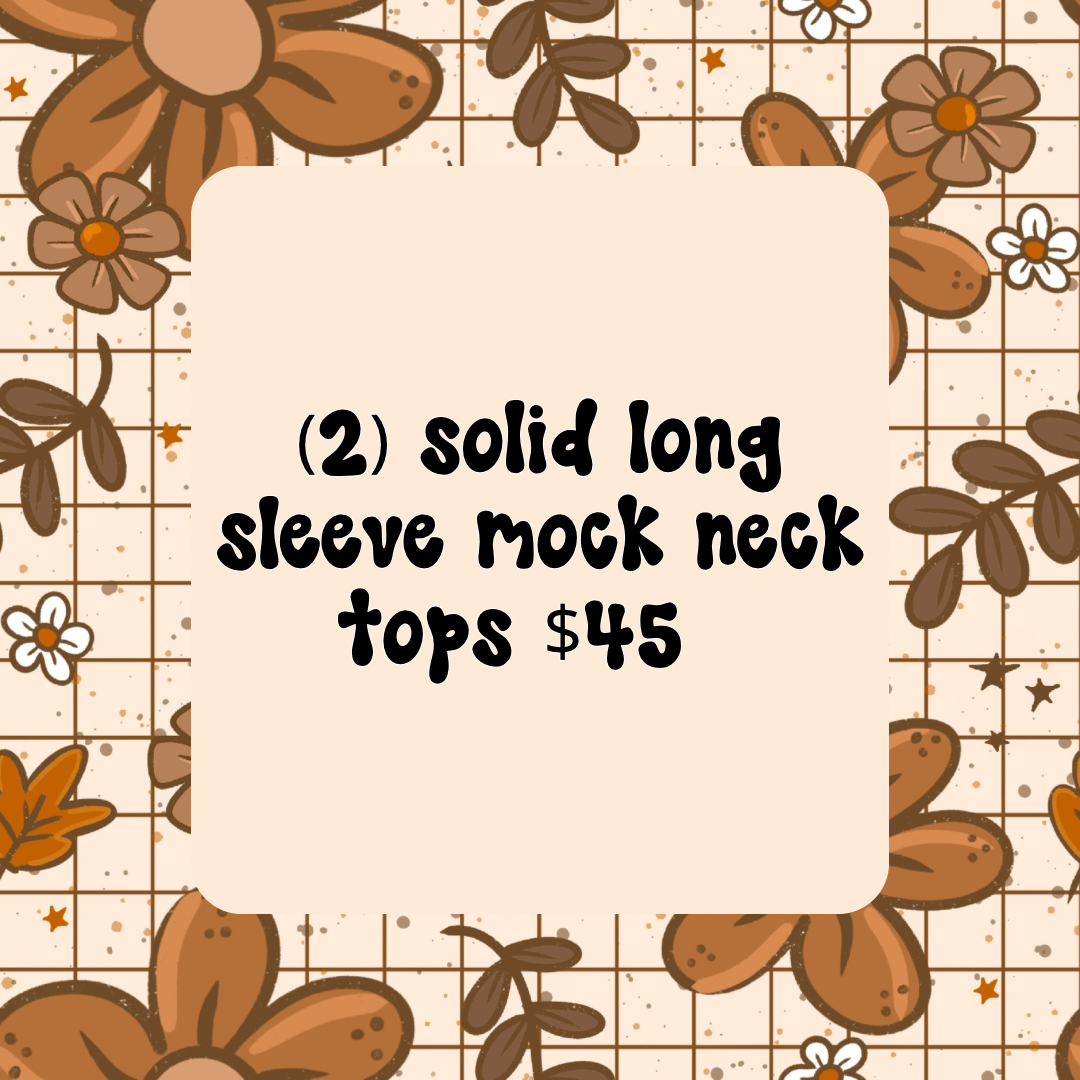 (2) long sleeve mock necks